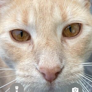 Private Sale for @laurahansen64